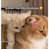 Funny quotes 🤠 18