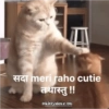 Funny quotes 🤠 19