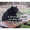 Ah lan 😔 25