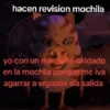 🥚😸Huevo disfrazado de Gato😸🥚 17