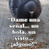 🧿Frases Migajeras🍞🐦 18