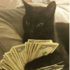 🌈🐈‍⬛✨️Gatos Funny Mood✨️🐈‍⬛🌈 8