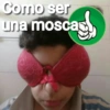 🦟Mira, una mosca 🦟 bzz 6