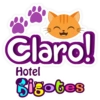 Bigotes frases 8
