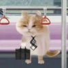 Meme Kucing Lucu 🐱 9