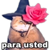 geysioy para usted