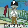 P SHOOTPOSTING INFO LAHAN SAWIT