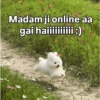 Funny quotes 🤠 17
