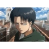 Levi 5