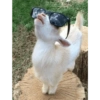 Kkk 11