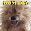 BOM DIA PRA VC 🌞 6