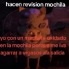 🥚😸Huevo disfrazado de Gato😸🥚 15