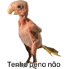 Aleatório 3 6