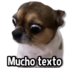 Mucho texto