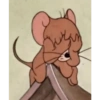 Tom and jerry steakers 8