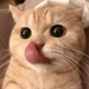 Momos Anime 16