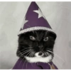 😺🎃 Gatitos para Halloween 😺🎃 16