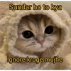 Sundar ho to kya catitudehehe Ignore kroge mujhe