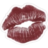 Kiss cat 14