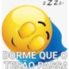ZZZZ DORME QUE O TESÃO PASSA