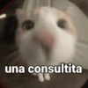 🐾 Gatitos Anti-depresivos 😺 16