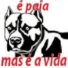 é e paia mas é a vida