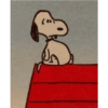 Snoopy 😝 11