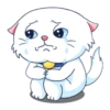Kucing luthuu 29