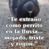 🧿Frases Migajeras🍞🐦 22