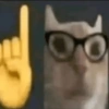 Meme kucing 12