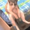 Memes e Reações aqui🤣👇 8