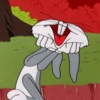 Bugs bunny 24