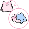 Pink silly cat 7