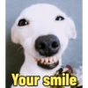 Your smile IG.E