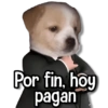 Memes Random1ღ💫 15