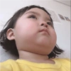 BOCIL KOREA CENTIL  19