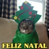 FELIZ NATAL