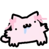 Pink silly cat 14