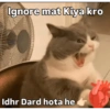 Ignore mat Kiya kro Idhr Dard hota he