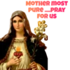 Jesus Christ 29