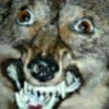 Drogas 5