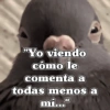 🧿Frases Migajeras🍞🐦 5
