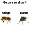 🦟Mira, una mosca 🦟 bzz 13
