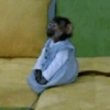 🐒✨️Chimpances Mood✨️🐒 14