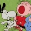 🦴🏠 SNOOPY 3 🏠🦴 11