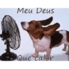Nu vai tomando 15