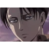 Levi 8
