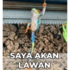 Meme random yuyur😜 13