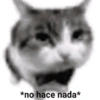*no hace nada*