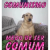 MEMES IRONICOS 7